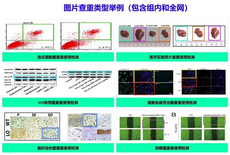 ImageTwin图片查重演示