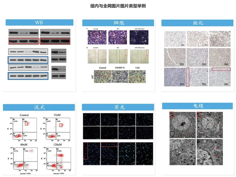 ImageTwin论文图片查重检测界面演示
