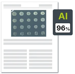 AI图片检测示例