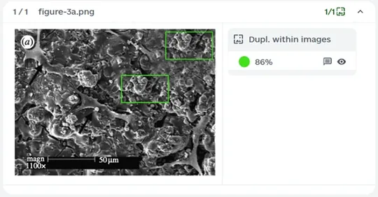 图片篡改检测示例