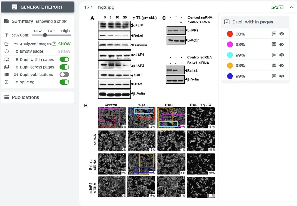 ImageTwin检测流程示意图