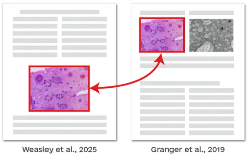 学术不端图片检测